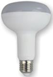 LED Bulb-R95-001